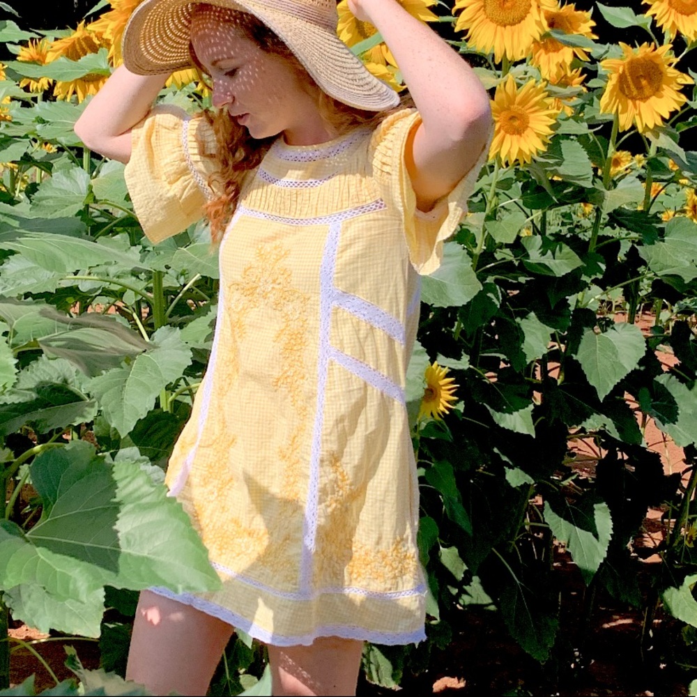 Free People Sunny Day Gingham Embroidered Dress